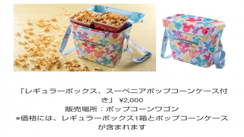 失敗しない！パーク初心者向け持ち物チェックリスト