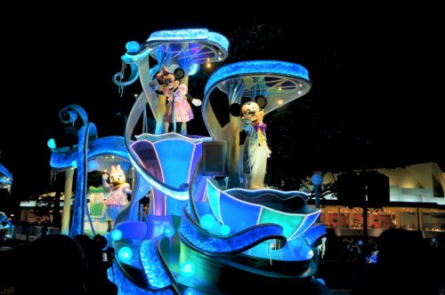 今しか見れない！晴れの日のナイトフォール・グロウ！①