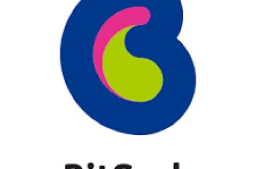 BitCashとはどんな電子マネー？EdyやSuicaとの違いは？