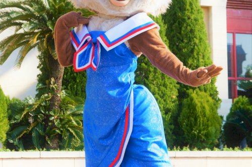 ランド38周年グッズ発表！と、歌姫のバースデー！③