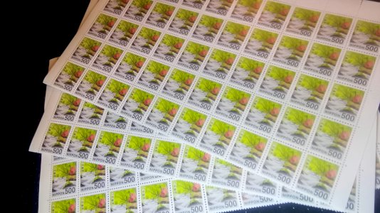 普通切手シート 500円 100枚  送料無料