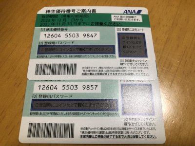 ANA株主優待2枚　有効期間2023年11月30日