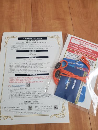 ユニバーサルスタジオ　貸し切りナイトペアチケット